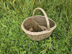 Divided willow picnic basket with a braided rim and arched handle in tall grass, the divider splitting the interior in two