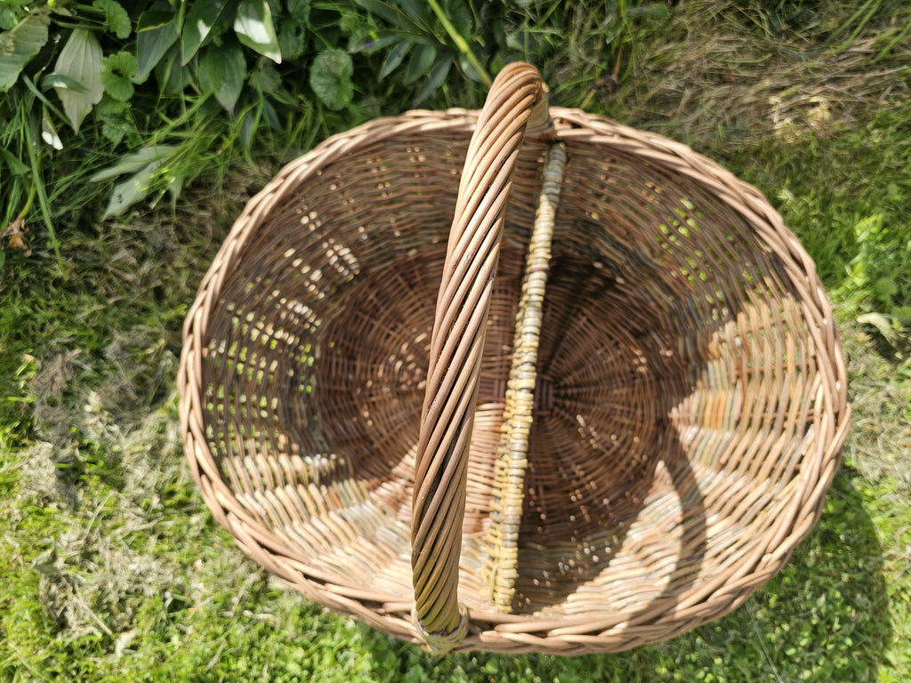 Top view of the handwoven willow basket with divider on the grass, showing the arched handle above the two compartments.