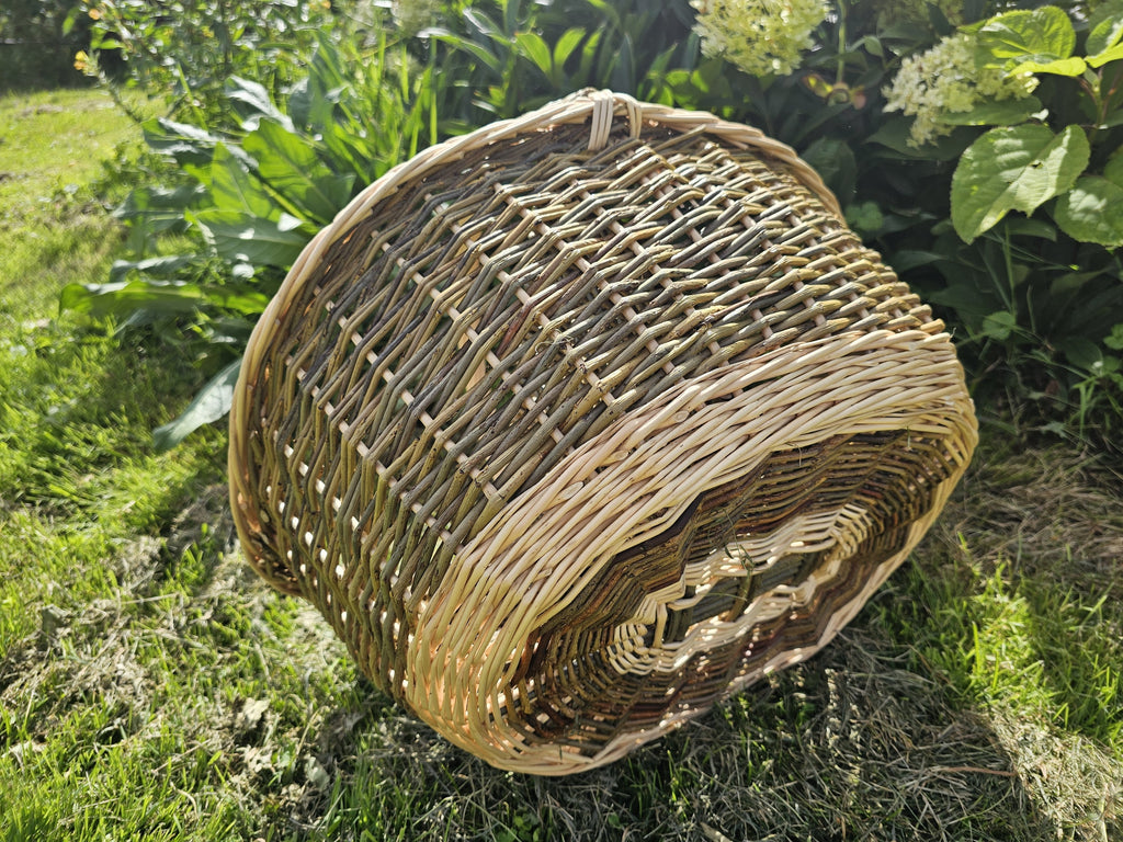 Underside of the divided willow basket lying on its side on the grass, showing the tightly woven oval base and thick rim