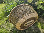Underside of the divided willow basket lying on its side on the grass, showing the tightly woven oval base and thick rim