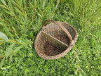 Handwoven willow basket with divider seen from above in green grass, the woven partition splitting it into two sections.