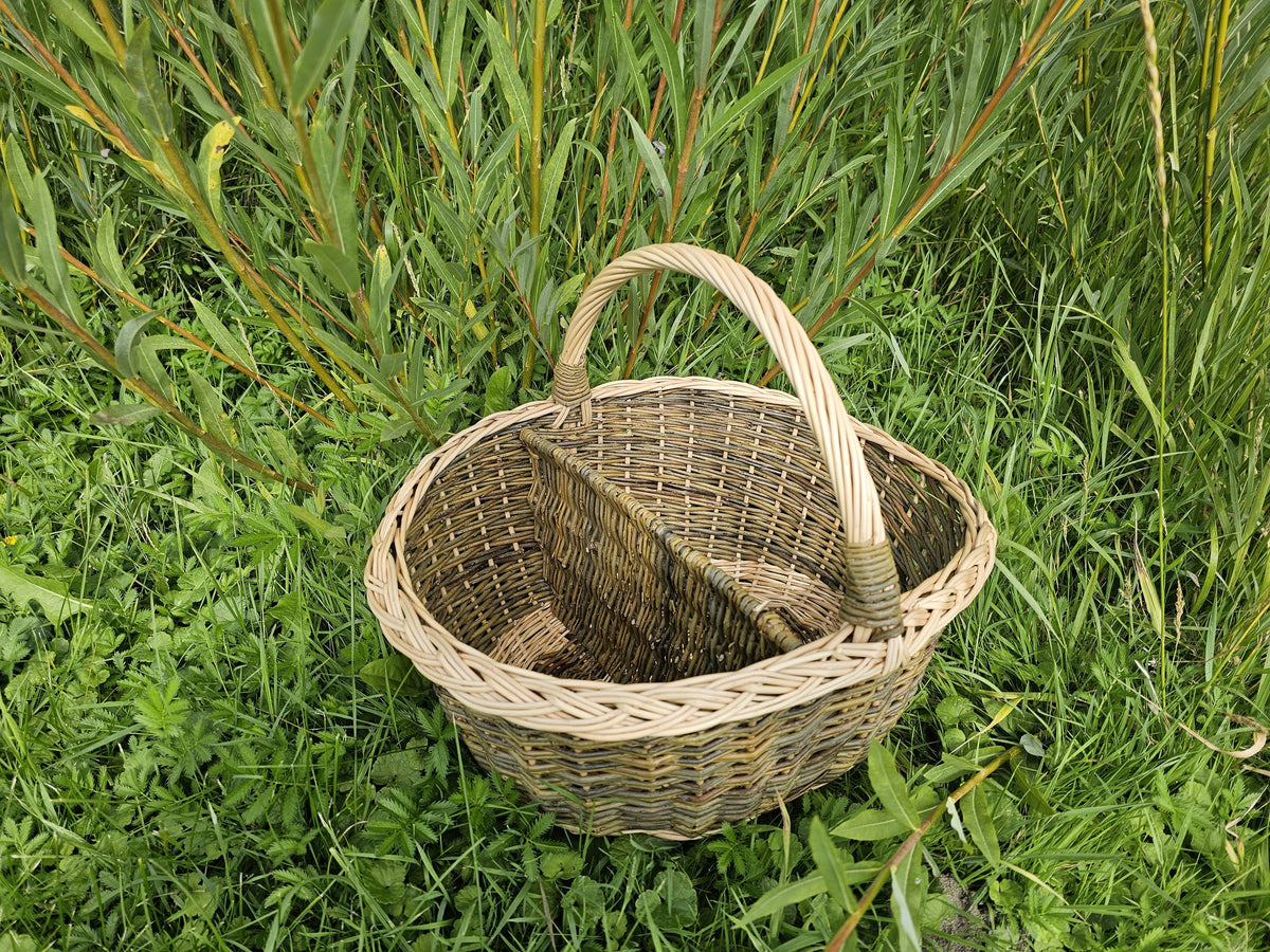 Willow carrier with a centre divider and a single arched handle standing among tall grass and willow shoots
