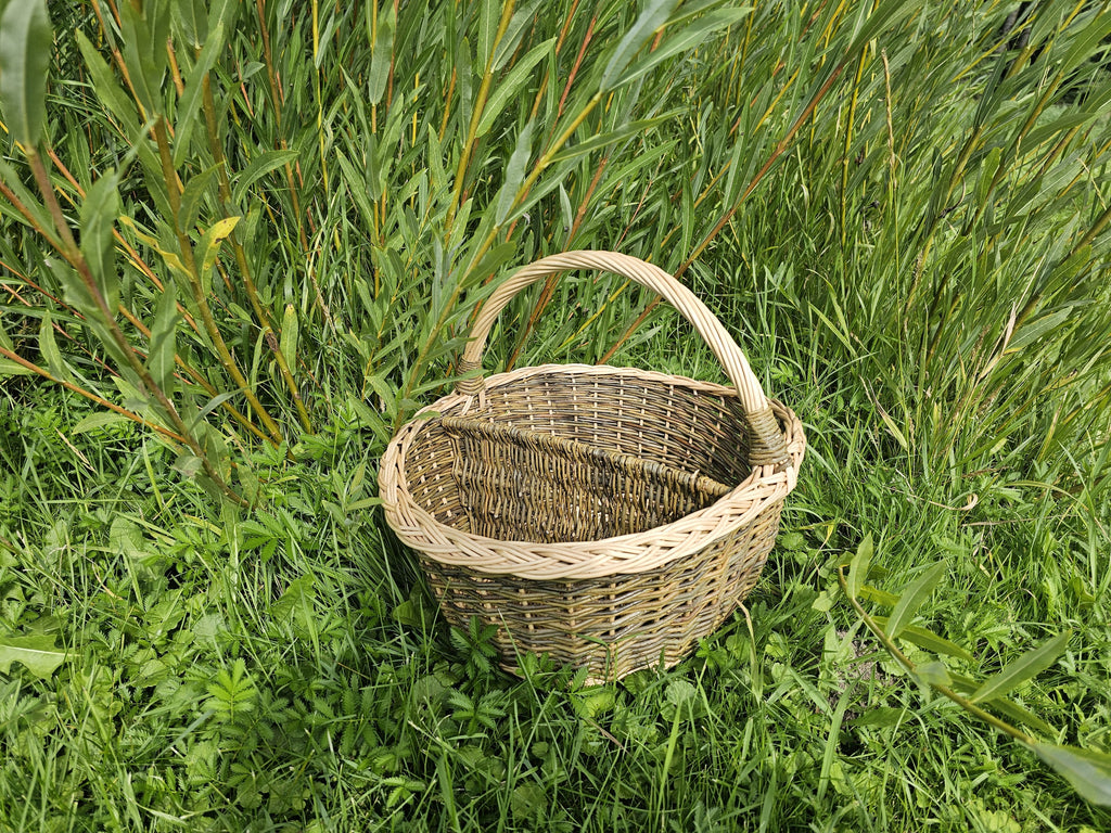 Willow tote with a centre divider and arched handle standing in tall green grass, seen from a low angle