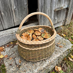 Wicker foraging basket with handle full of freshly picked mushrooms on an old stone step in front of a wooden barn door