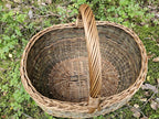 Top view of the large oval willow harvest basket on green leaves, the arched handle rising from the rim above the tightly interlaced base.