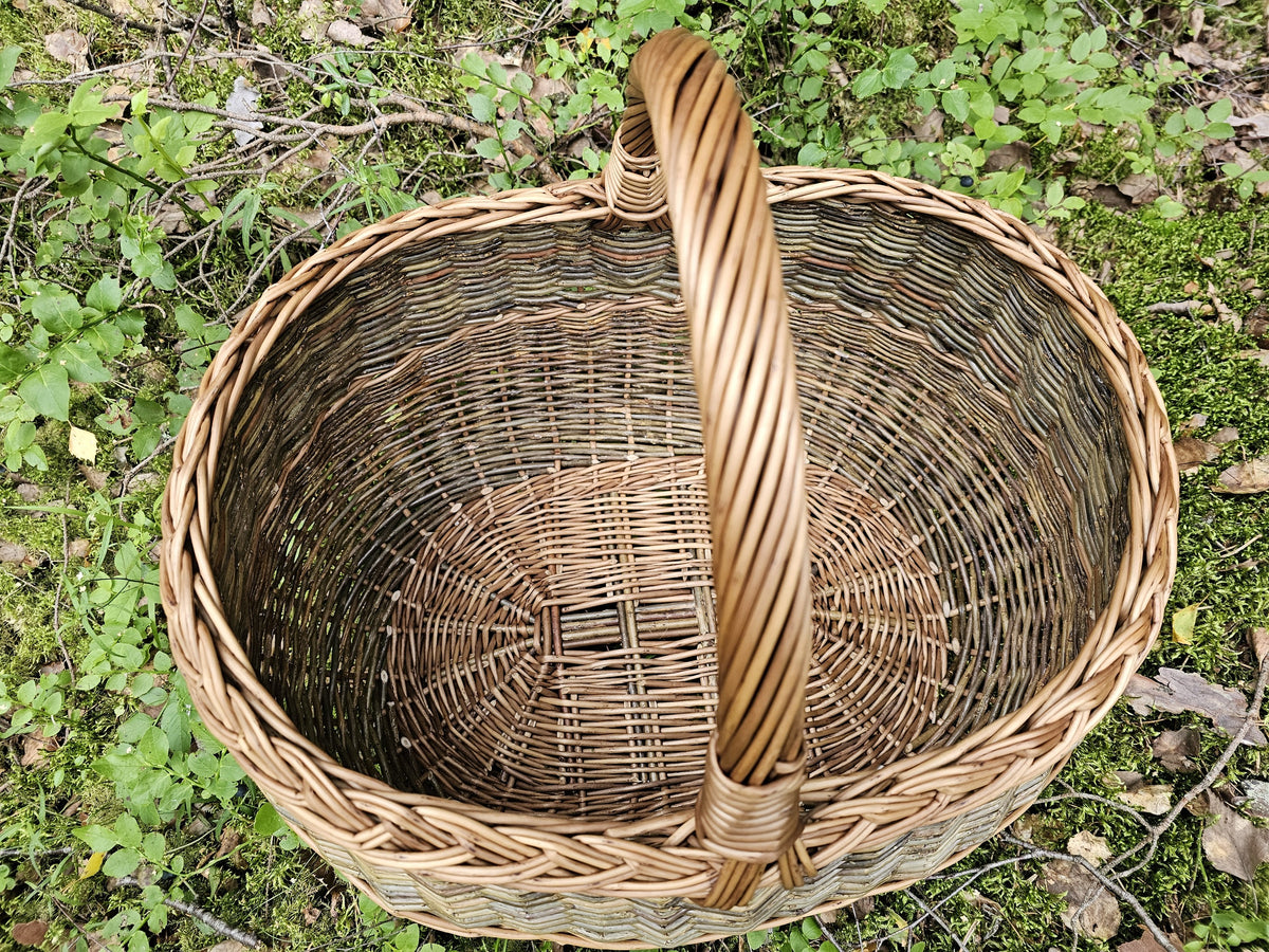 Top view of the large oval willow harvest basket on green leaves, the arched handle rising from the rim above the tightly interlaced base.