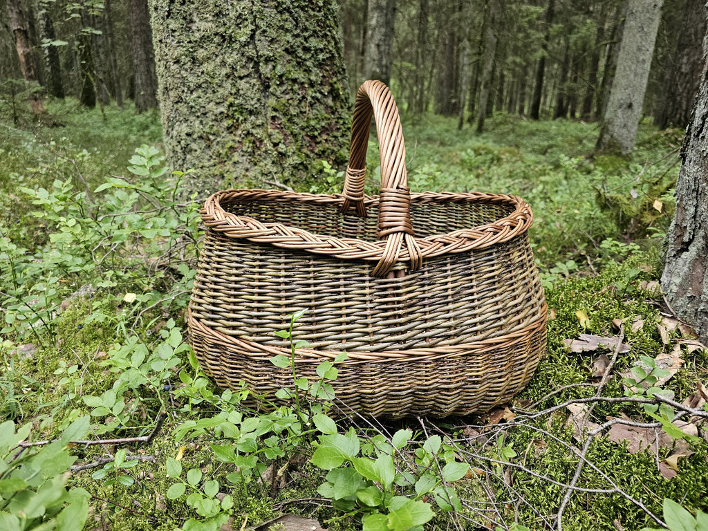 Willow harvest basket with a wide oval opening, reinforced rim and solid base standing on the forest floor beside a tree trunk.