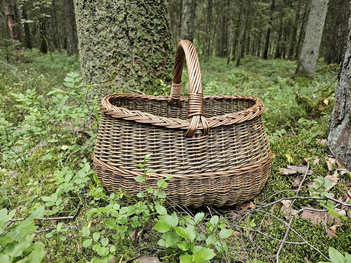 Willow harvest basket with a wide oval opening, reinforced rim and solid base standing on the forest floor beside a tree trunk.