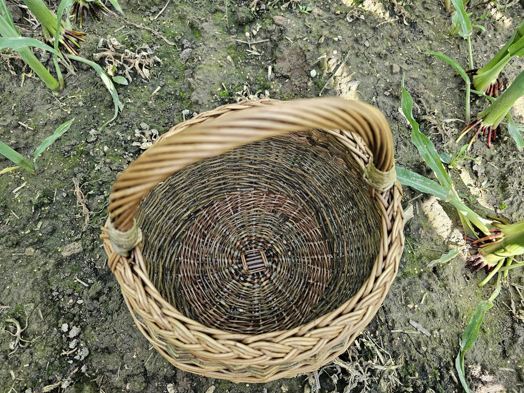 Top view into the small round wicker basket, showing the circular woven base with its square centre and the braided rim on soil