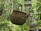 Handwoven willow basket hanging from a metal hook on a white birch trunk, its arched handle and reinforced rim shown in a woodland setting.