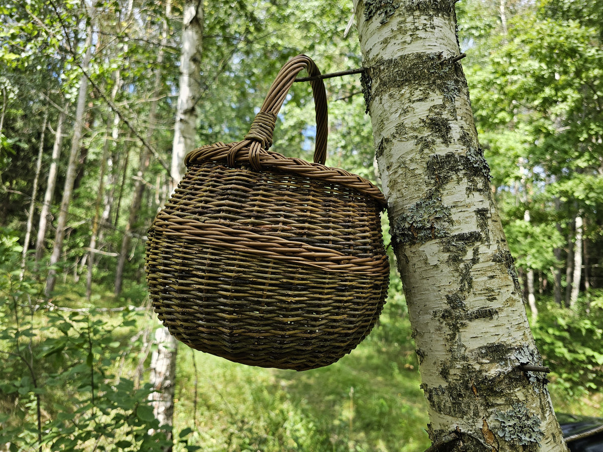 Handwoven willow basket hanging from a metal hook on a white birch trunk, its arched handle and reinforced rim shown in a woodland setting.