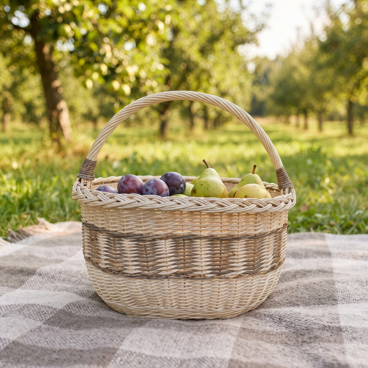 Oval handwoven basket with plums and pears on a checked picnic blanket in an orchard, the arched handle and braided rim in soft light.
