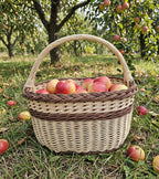 Apple harvest basket with braided rim and banded weave filled with red apples on the grass of an orchard with fallen fruit around it.