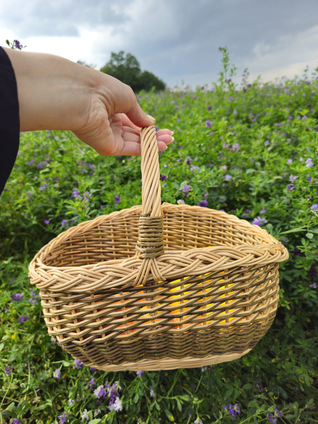 Small oval wicker basket held up by its handle against a green summer meadow, showing the braided rim and woven sides