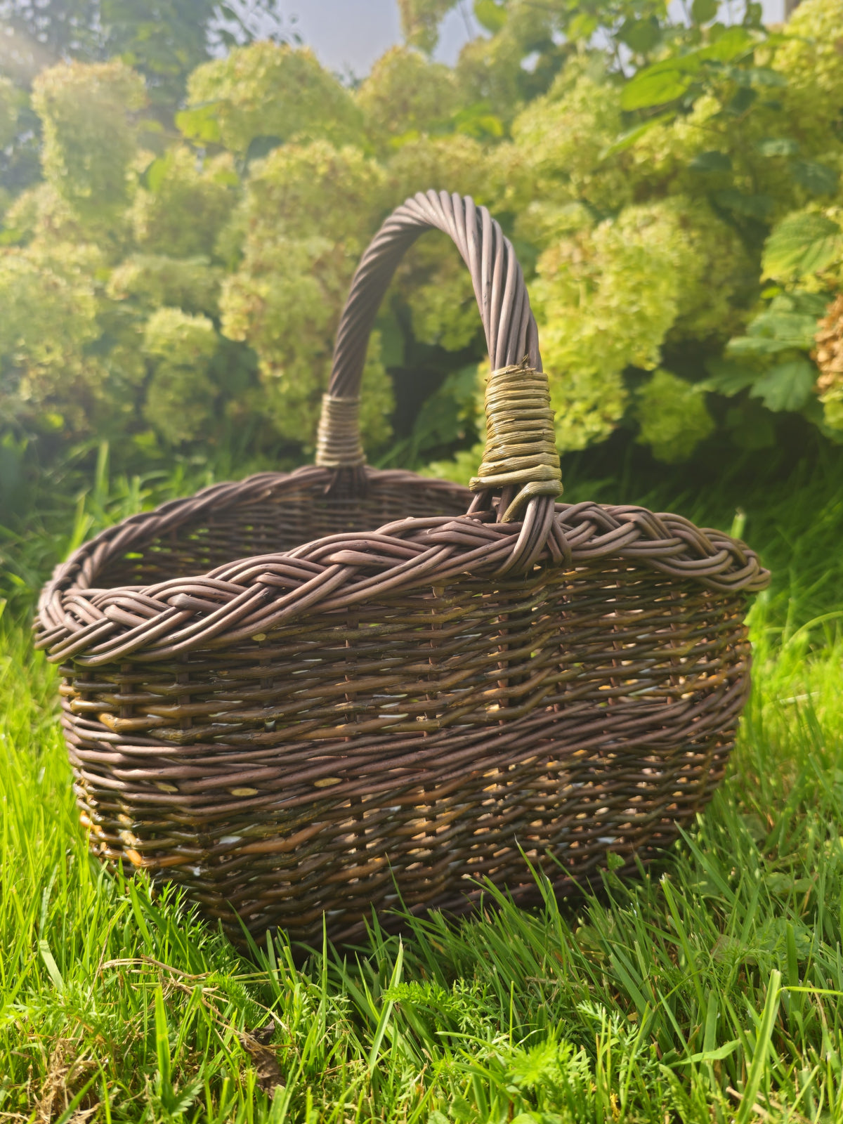 Close view of the small willow basket with a braided rim and an arched handle on the lawn in front of hydrangeas