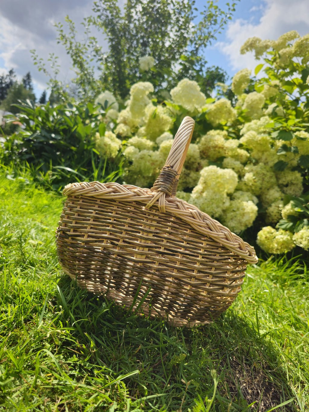 Small handwoven wicker basket resting on the lawn, backed by lush greenery and white hydrangea flowers under a bright sky