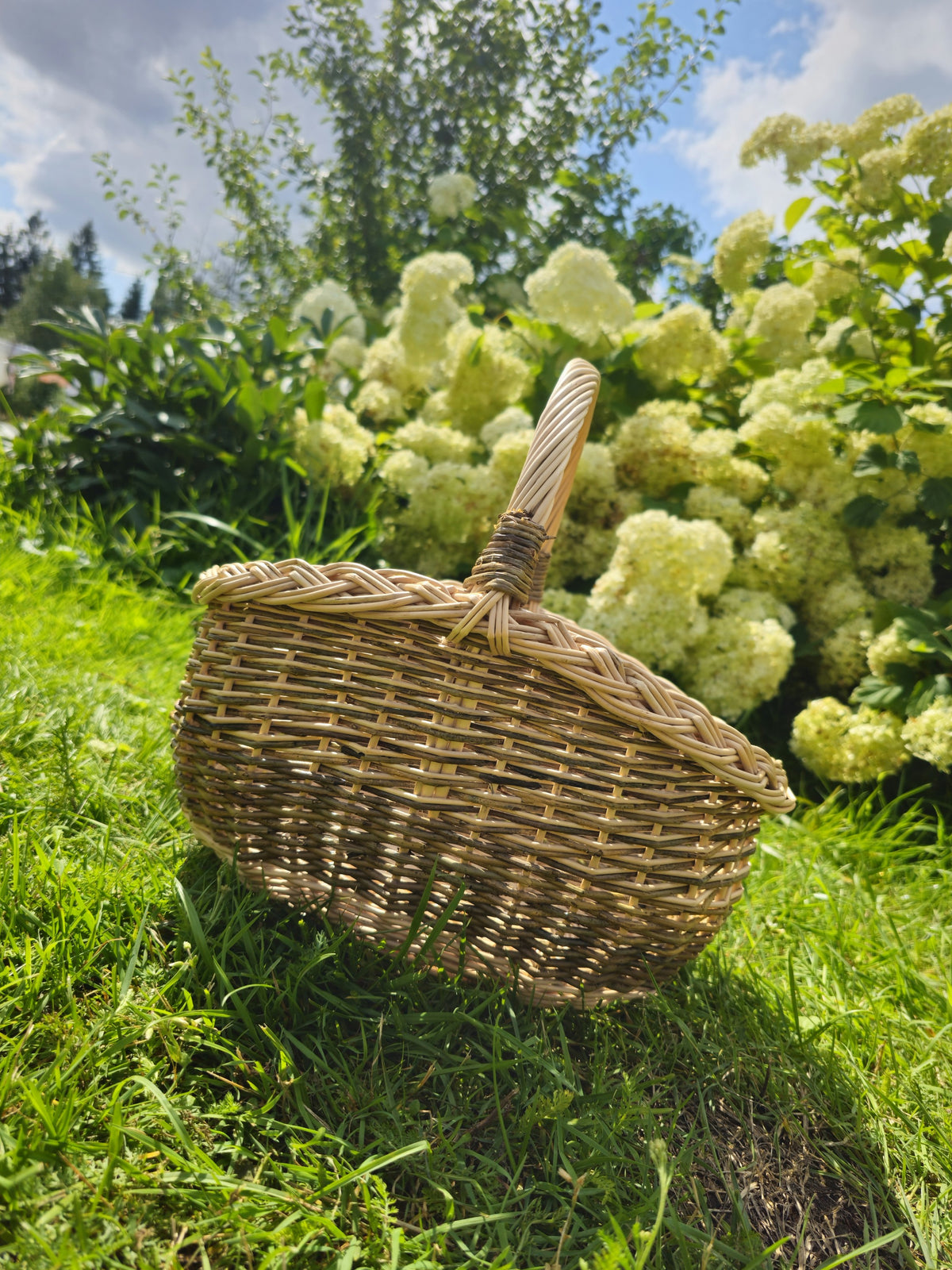 Small handwoven wicker basket resting on the lawn, backed by lush greenery and white hydrangea flowers under a bright sky