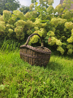 Small oval willow basket with handle standing in tall grass in front of a large flowering hydrangea bush