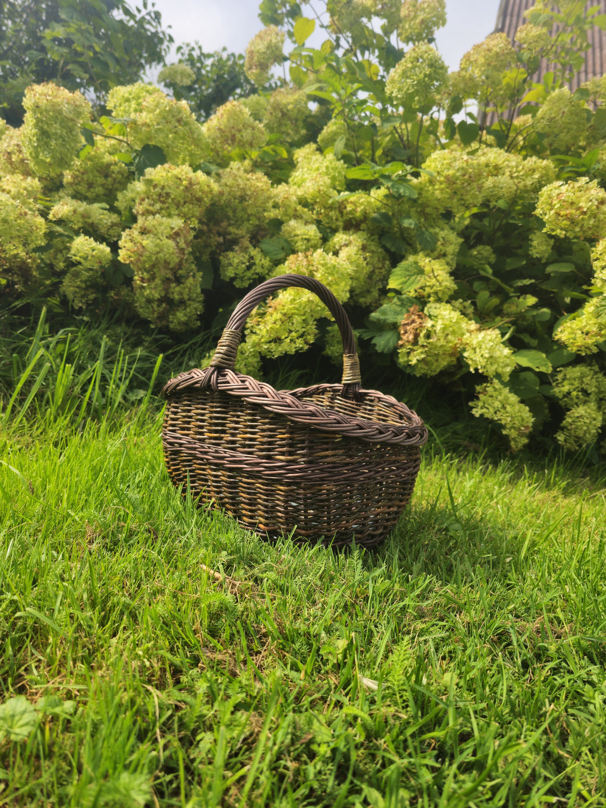 Small oval willow basket with handle standing in tall grass in front of a large flowering hydrangea bush