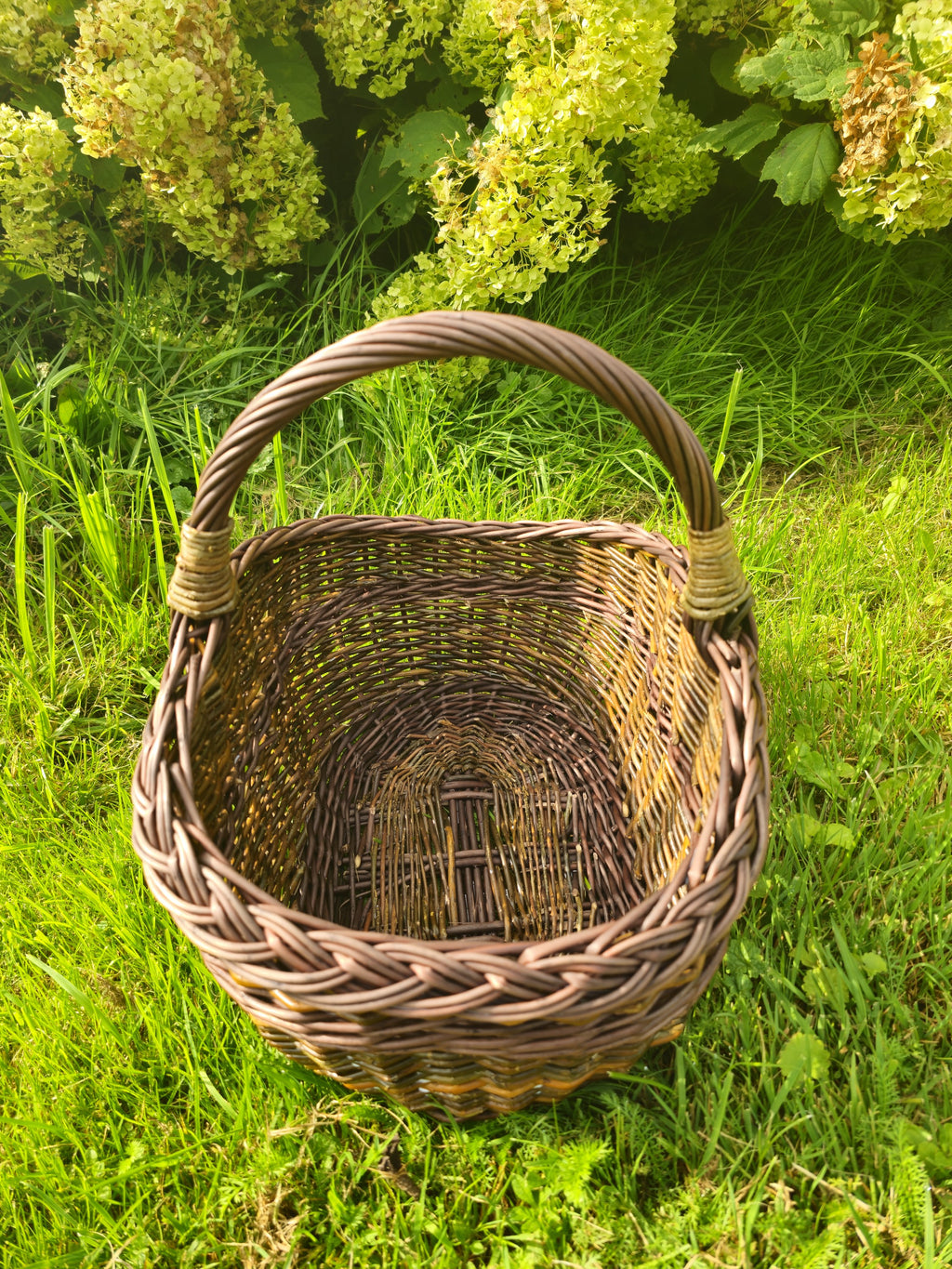 Top view into the small willow basket on green grass, showing the woven base, the braided rim and the arched handle