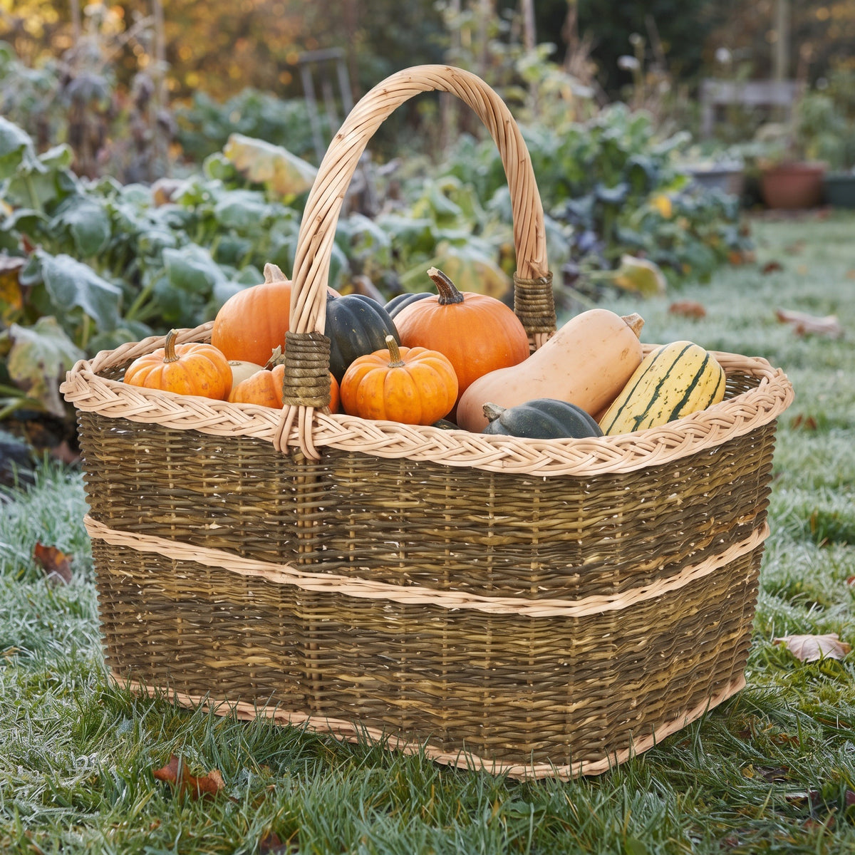 Large wicker harvest basket with handle filled with pumpkins and winter squash on a frosty lawn beside a vegetable garden.
