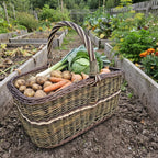 Großer Erntekorb mit Henkel, gefüllt mit Kartoffeln, Möhren, Lauch und Kohl, zwischen Hochbeeten