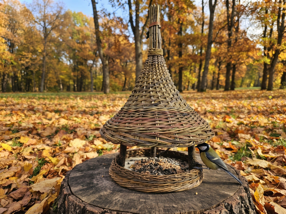 Tall handwoven willow bird feeder with a bell-shaped roof and spire top on a tree stump among autumn leaves, a great tit at the seed tray