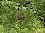 Tall woven willow bird feeder hanging among the leafy branches of a garden apple tree in summer