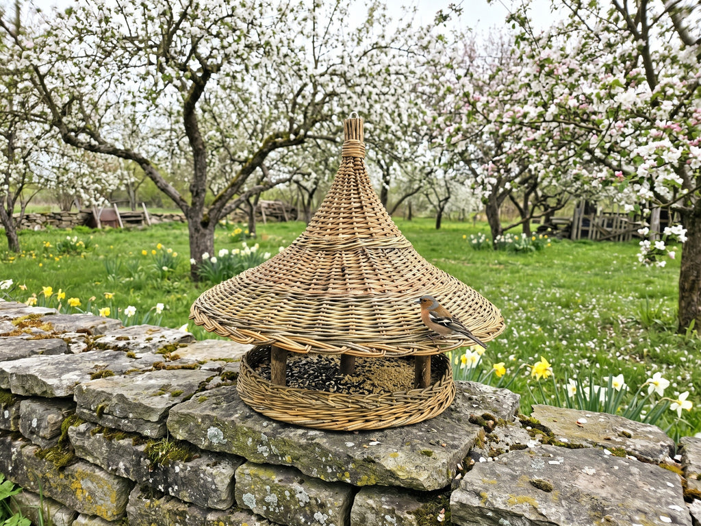 Pagoda willow bird feeder standing on an old stone wall in a blossoming spring orchard, with a bird perched on the woven rim
