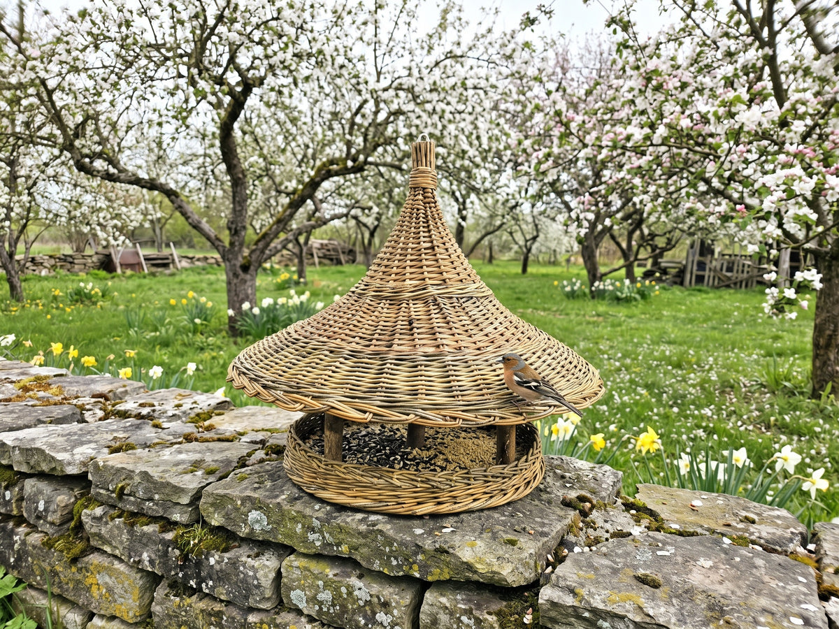 Pagoda willow bird feeder standing on an old stone wall in a blossoming spring orchard, with a bird perched on the woven rim