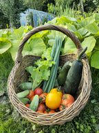 Handwoven Unpeeled Wicker Basket
