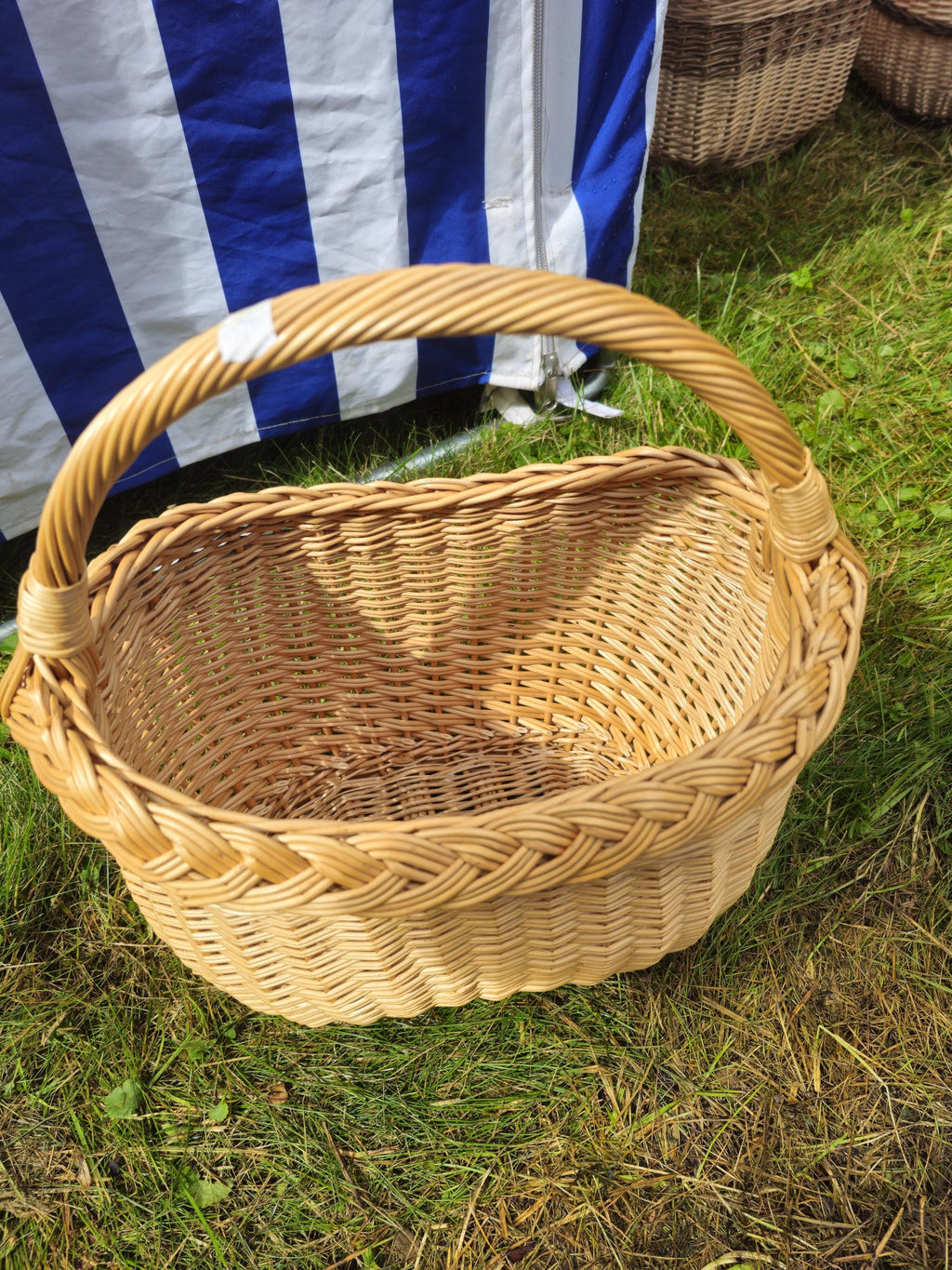 Wicker Basket with Braided Rim