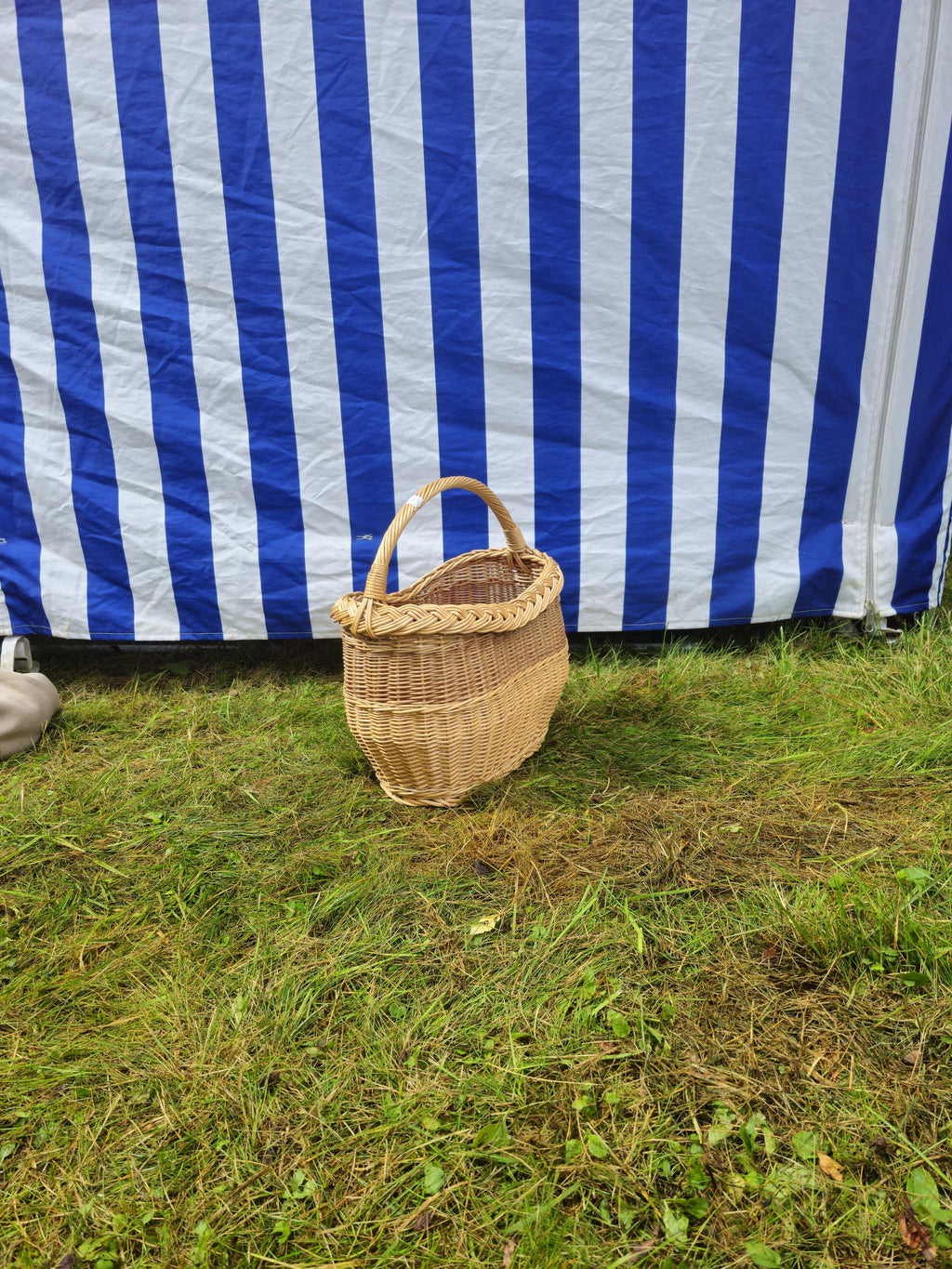 Wicker Oval Basket with Braided Rim