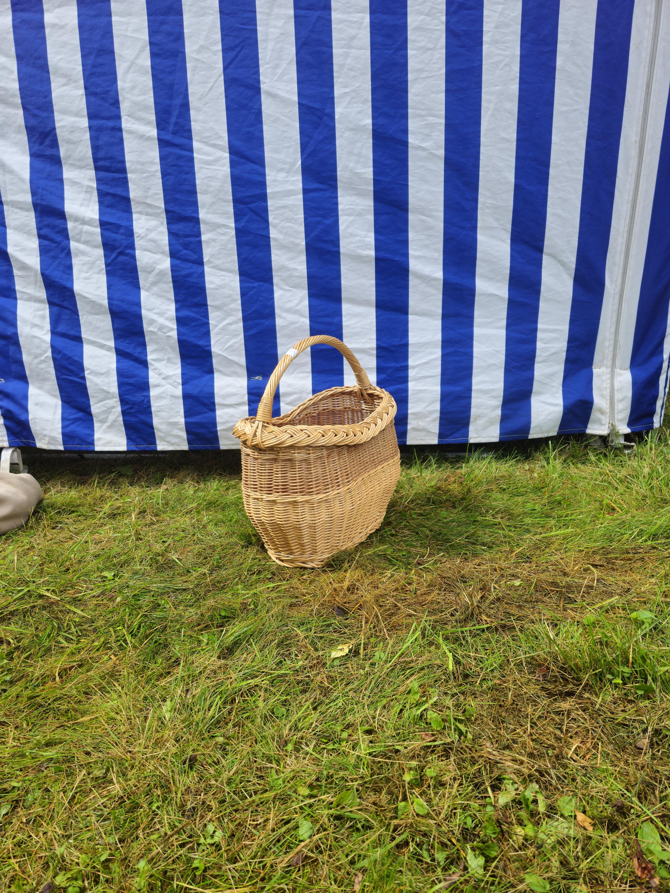 Wicker Oval Basket with Braided Rim