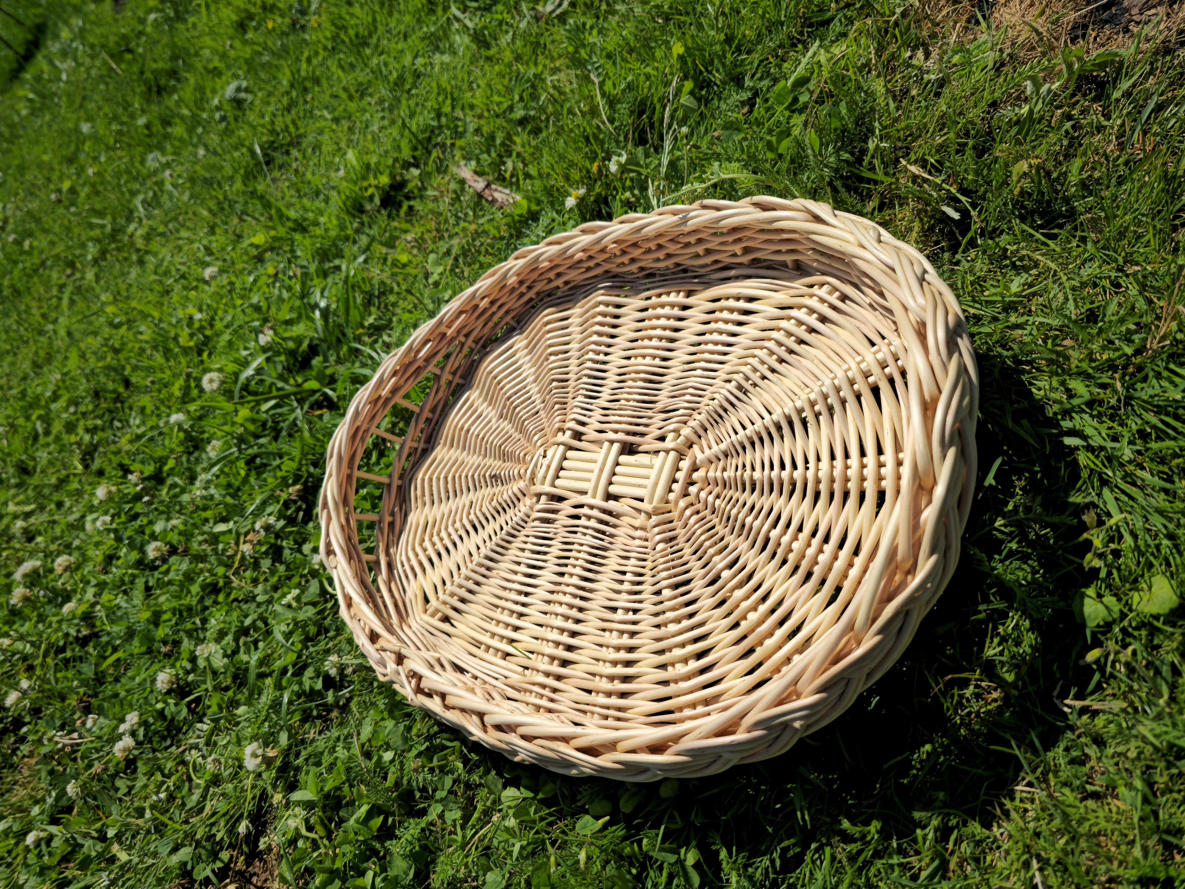 Rustic Bread & Fruit Tray