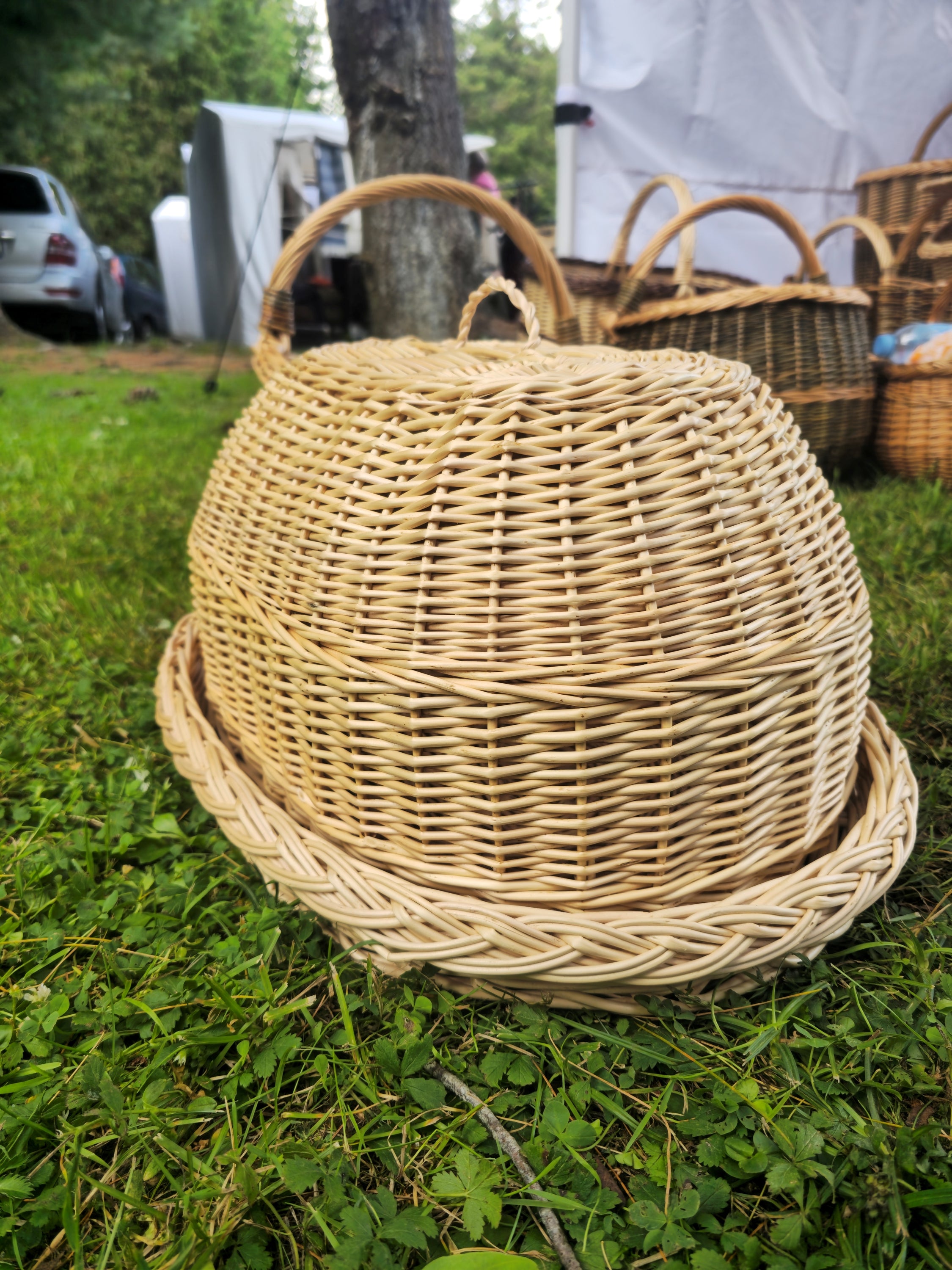 Handwoven Wicker Tray with Dome Lid