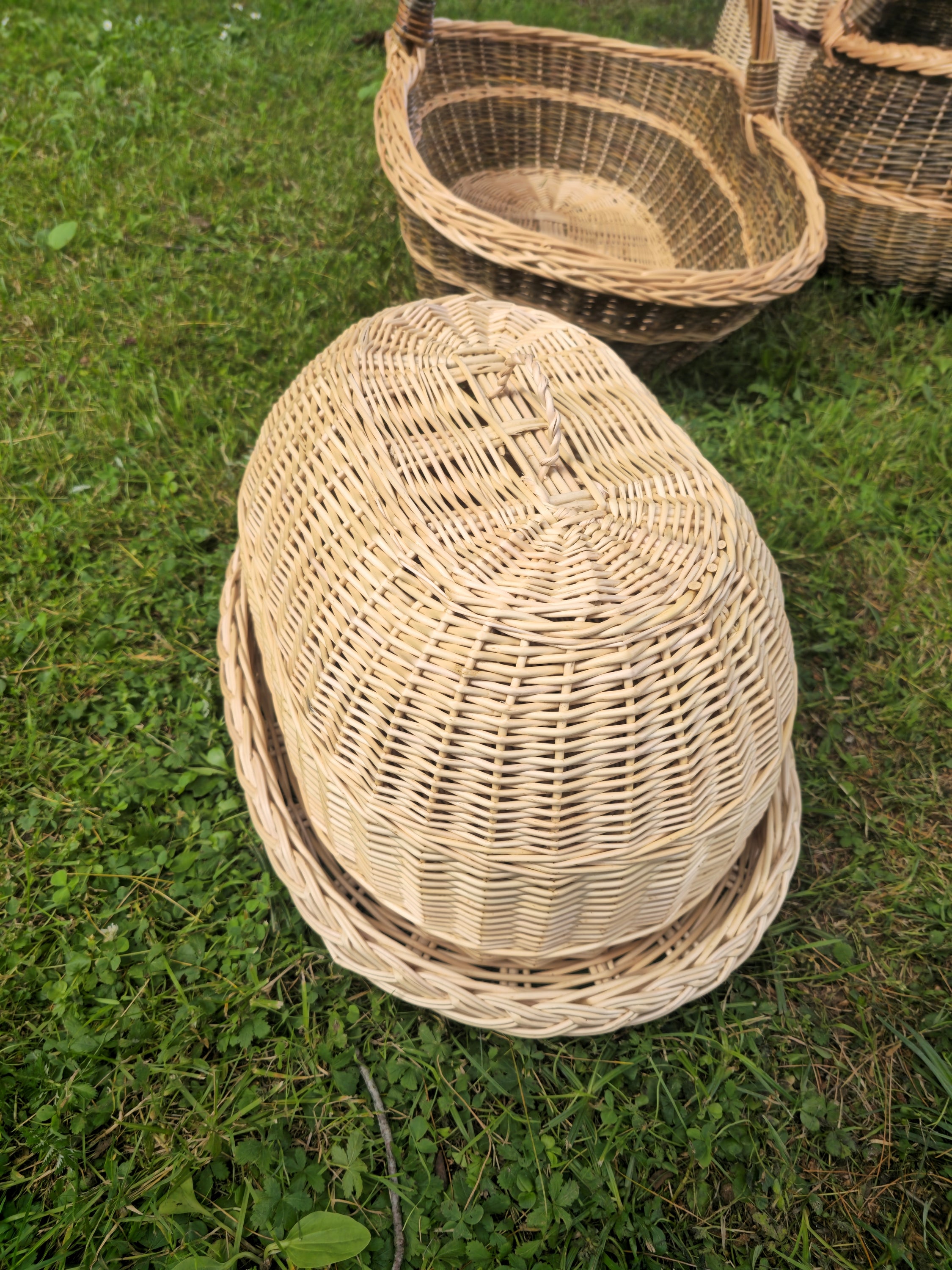 Handwoven Wicker Tray with Dome Lid