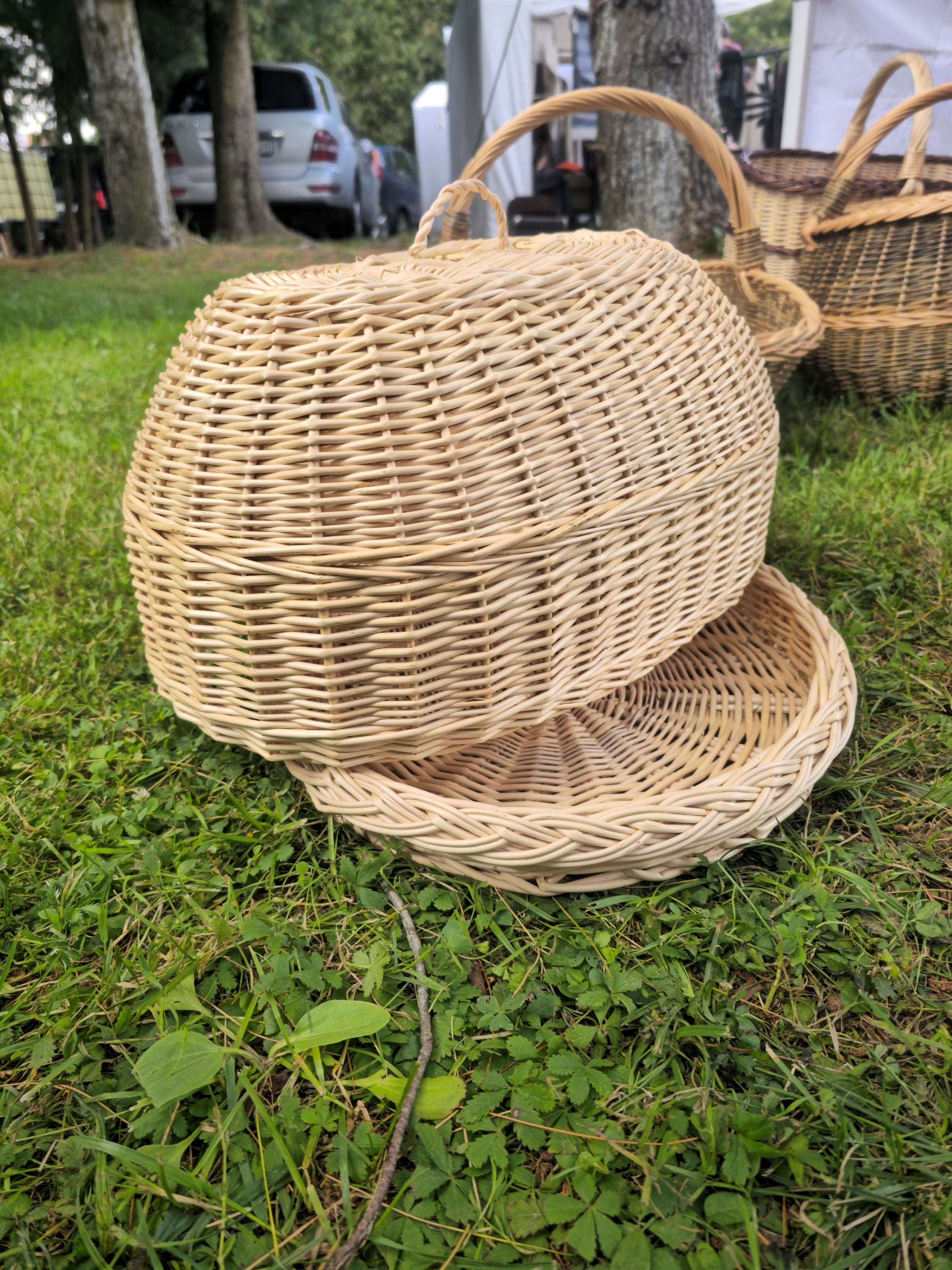 Handwoven Wicker Tray with Dome Lid