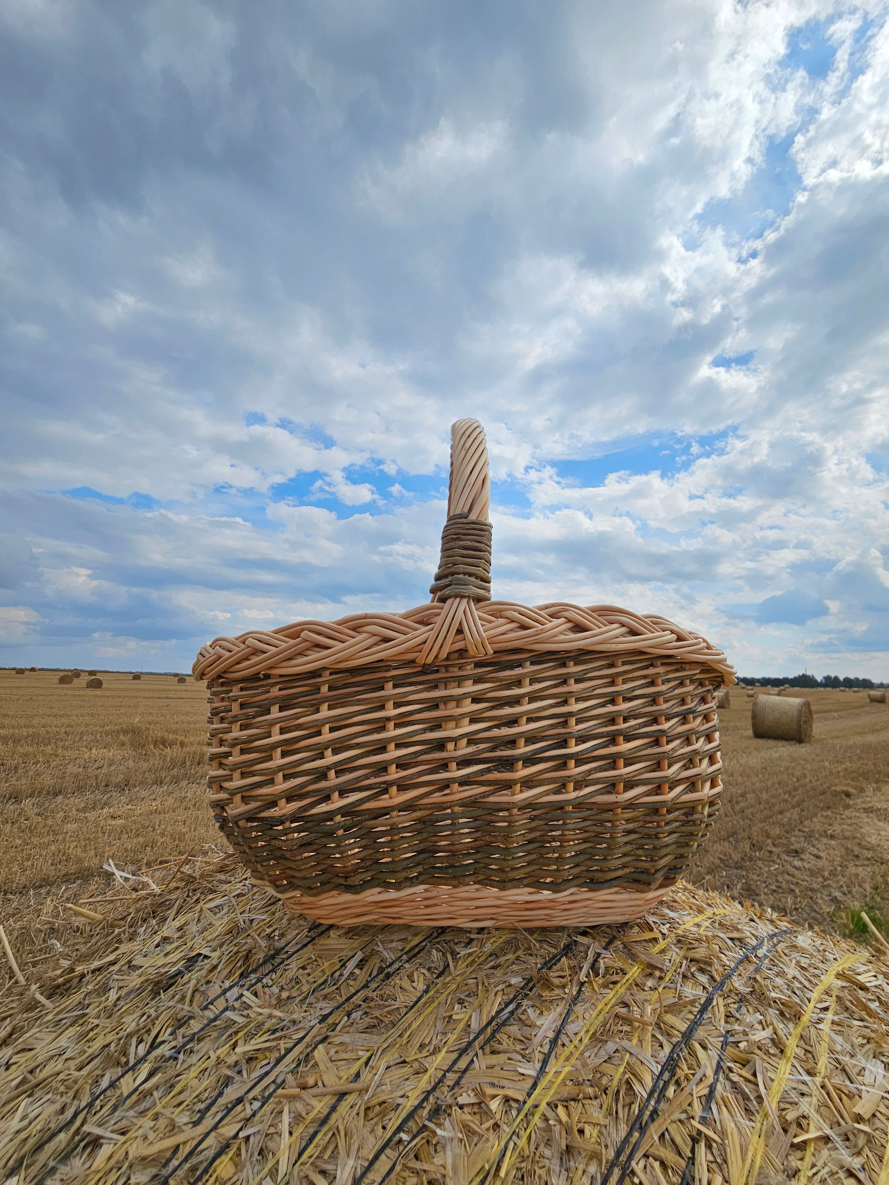 Rustic Wicker Basket