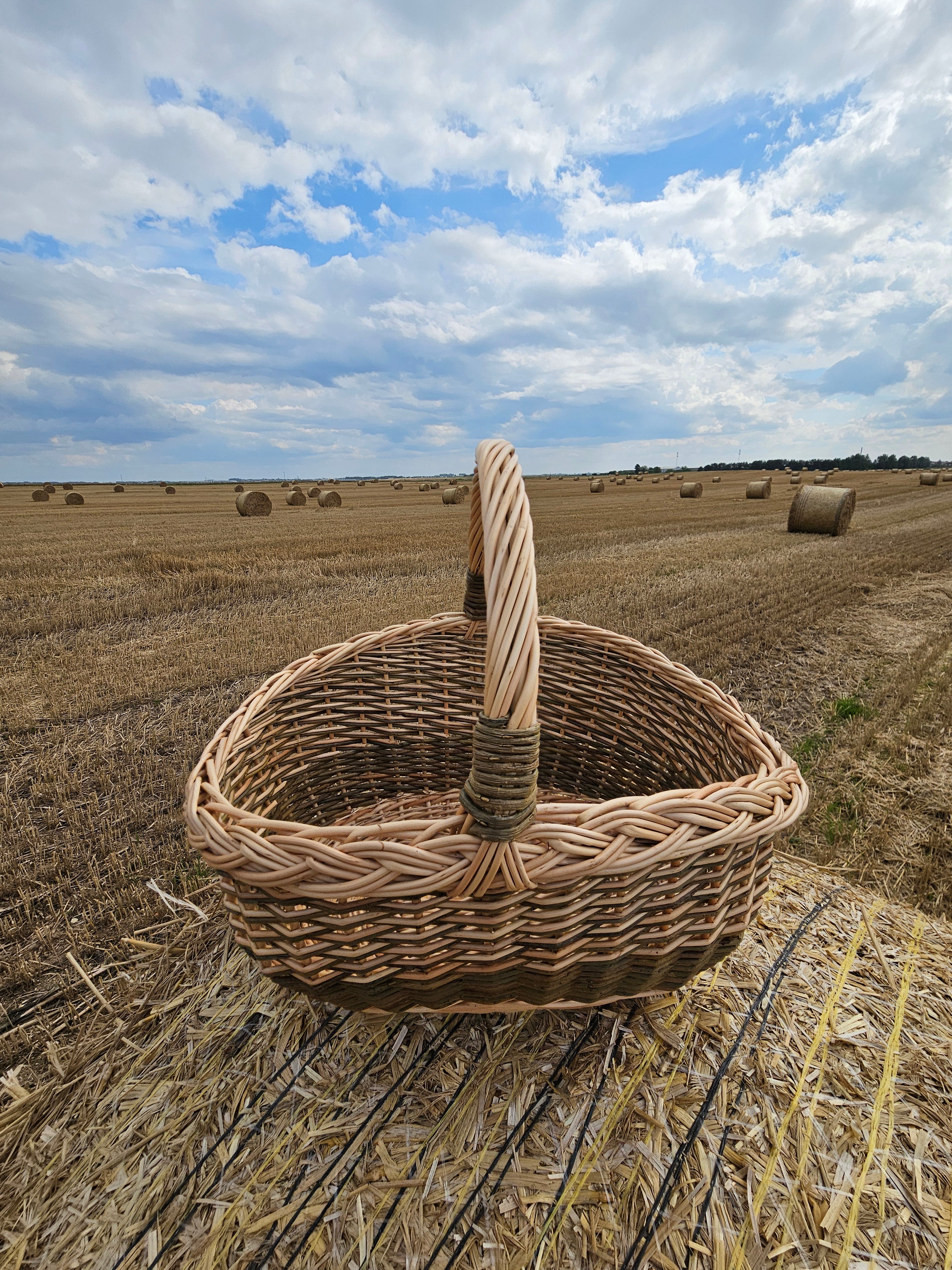 Rustic Wicker Basket