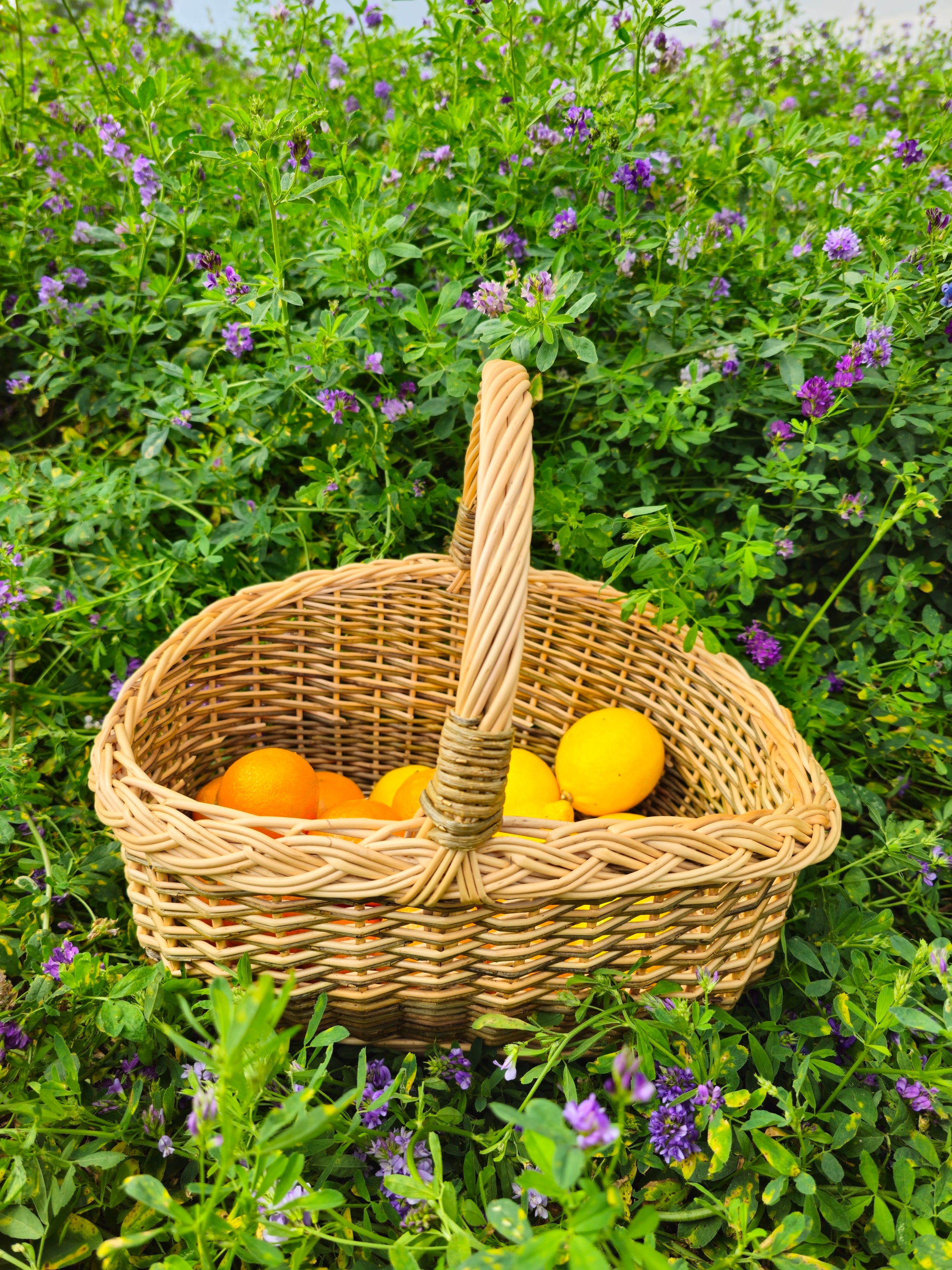 Rustic Wicker Basket