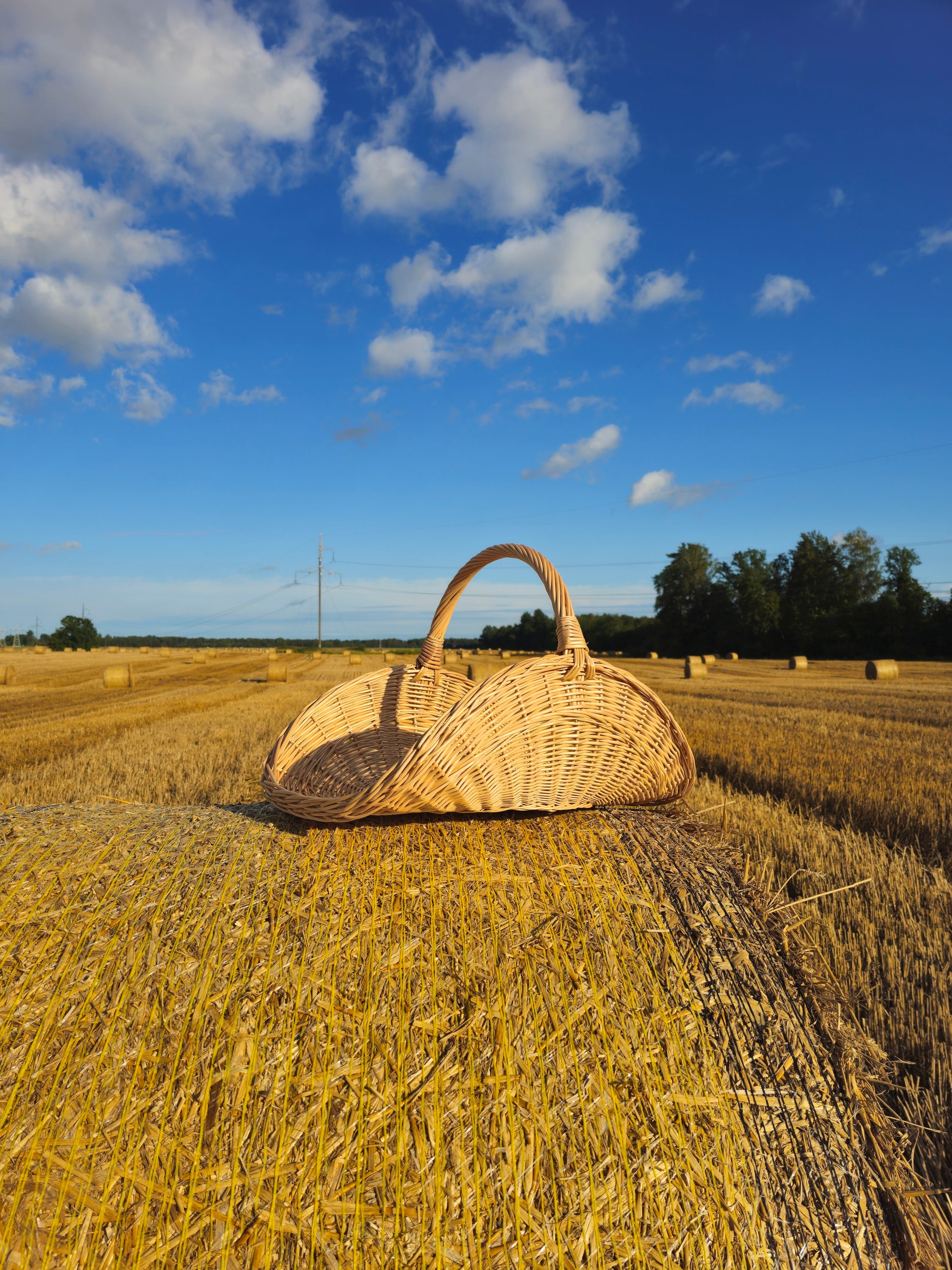 Handwoven Wicker Flower Basket