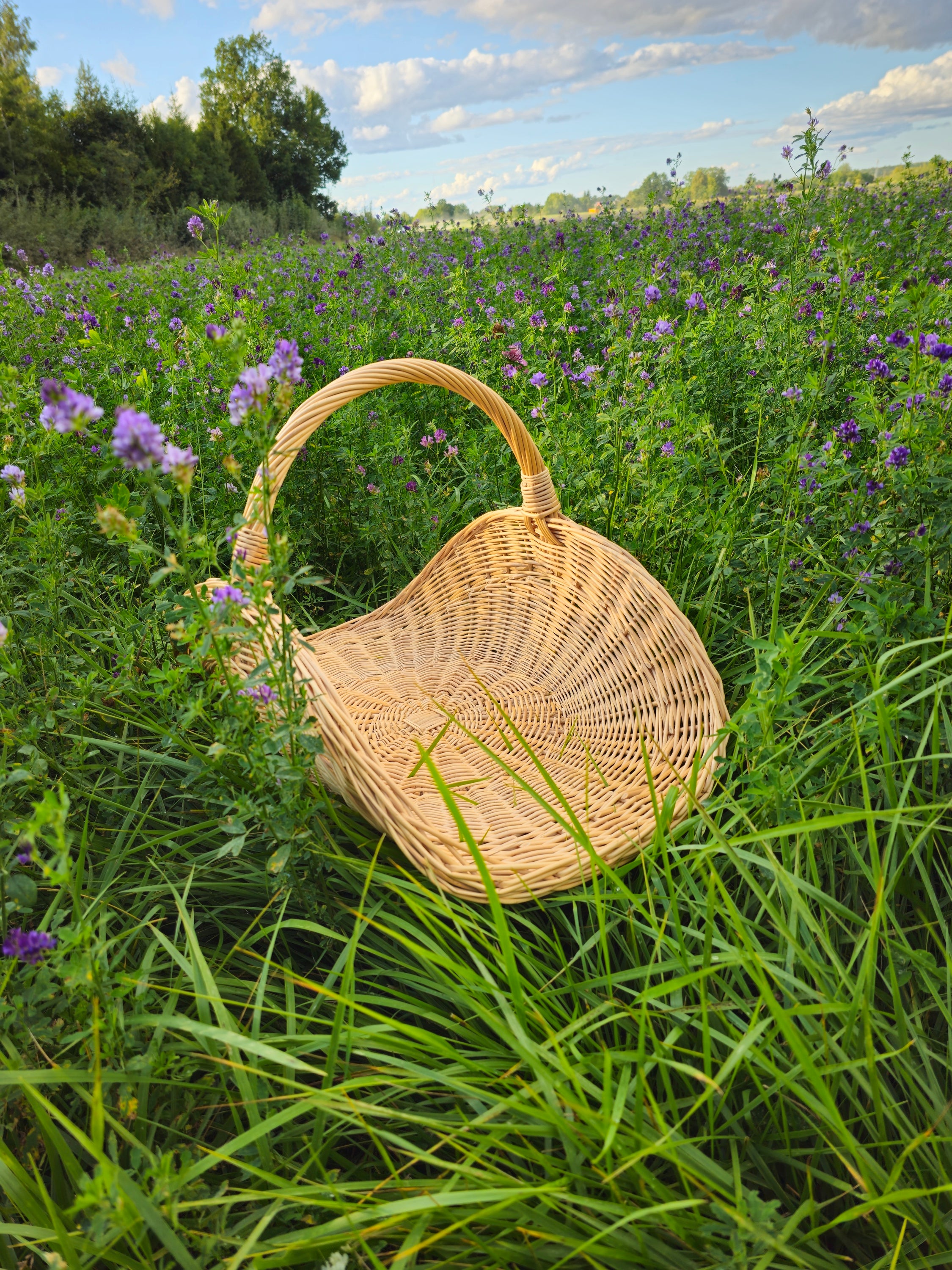 Handwoven Wicker Flower Basket