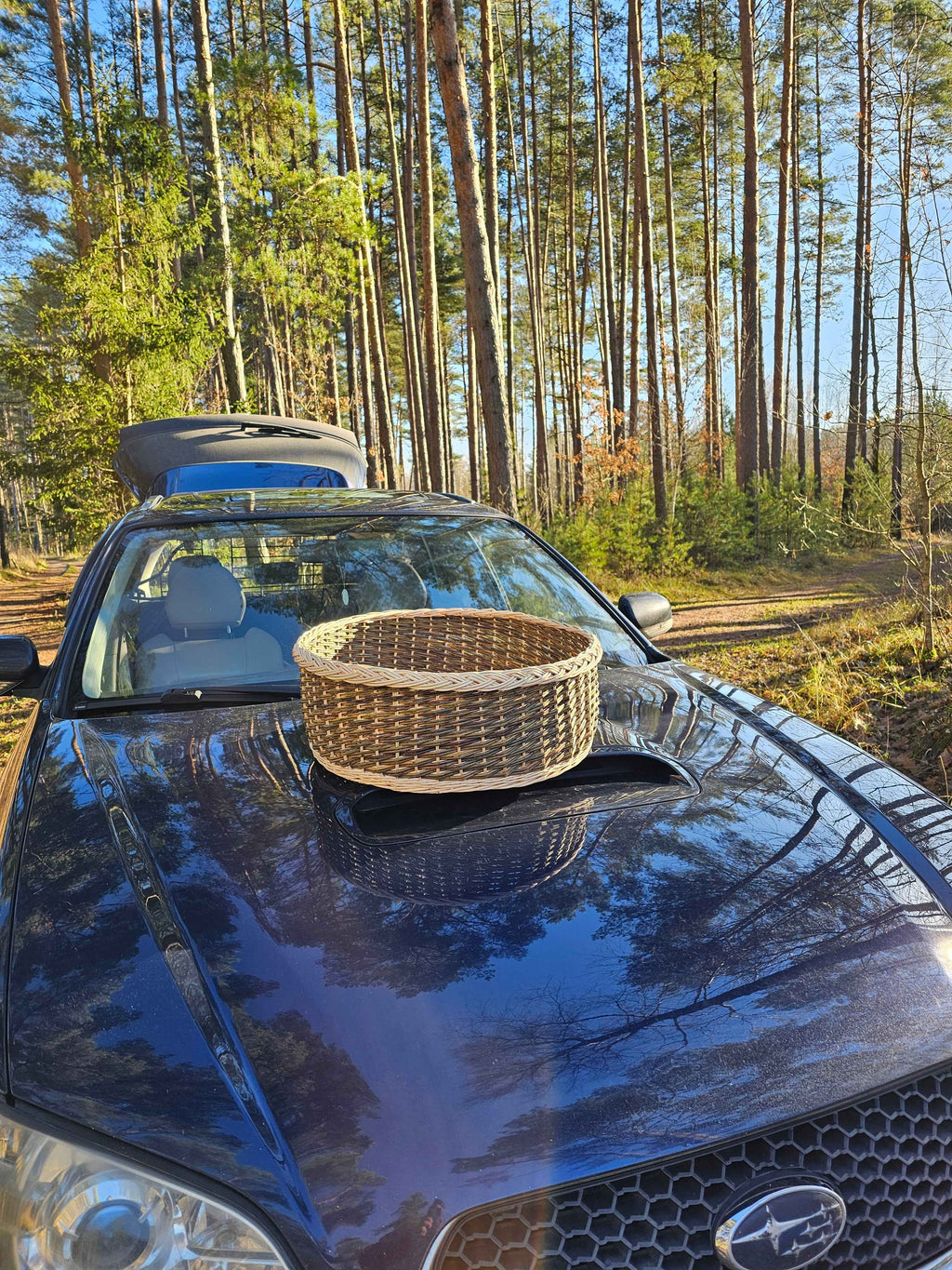 Wicker Bowl 023b
