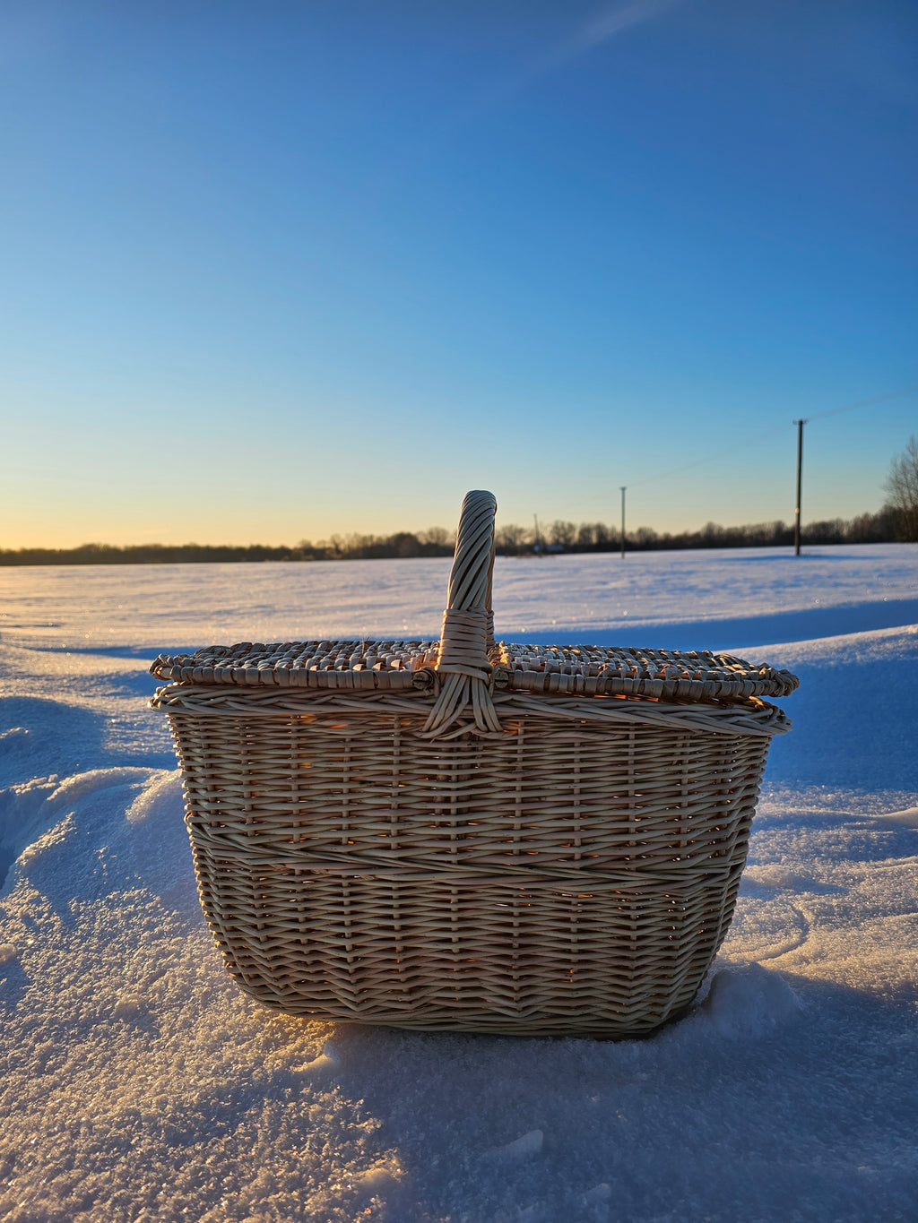 Double-Lid Wicker Picnic Basket