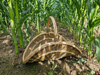 Large Wicker Flower Basket with Arched Handle