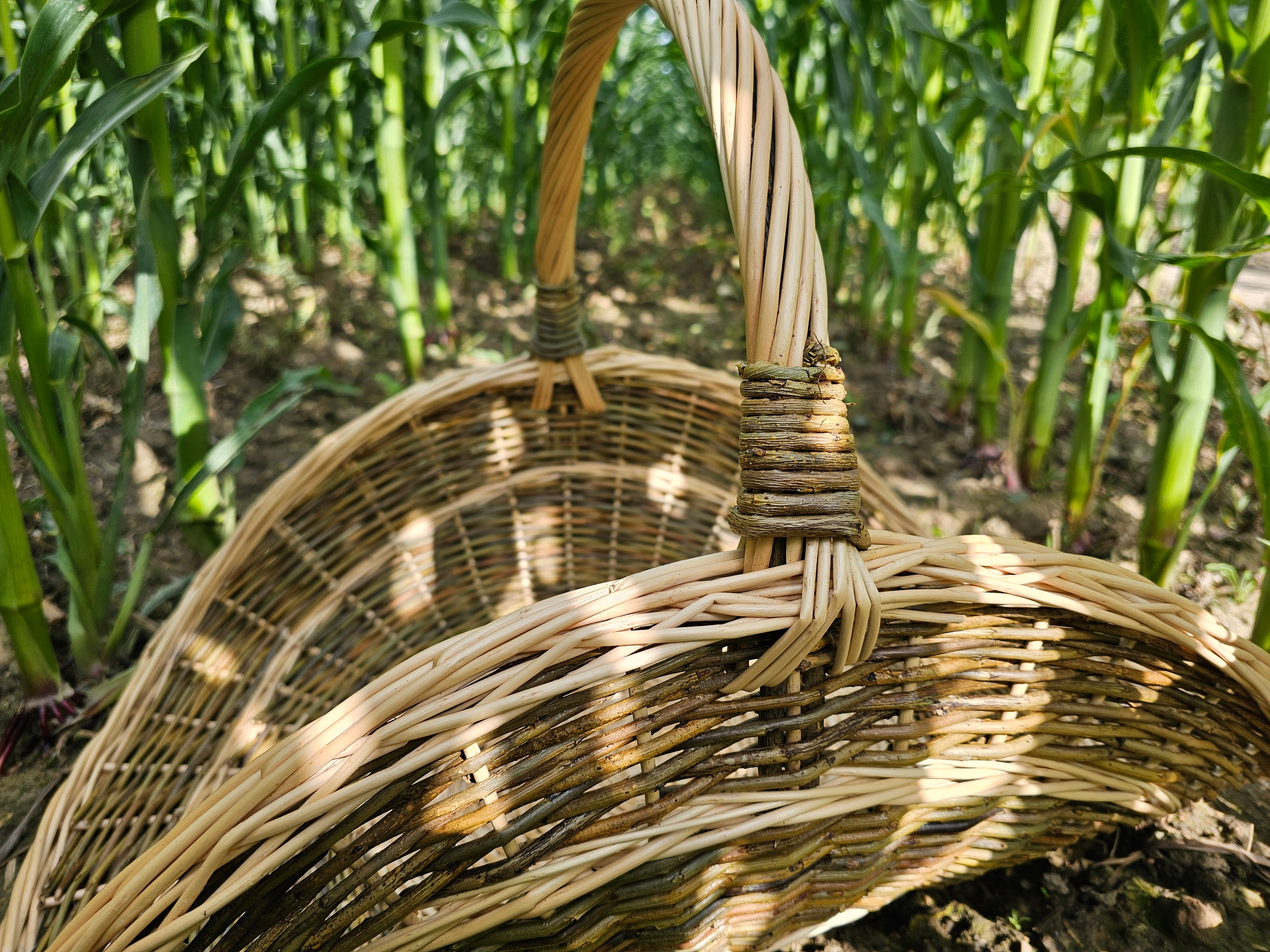 Willow Flower Girl Basket 031b-3