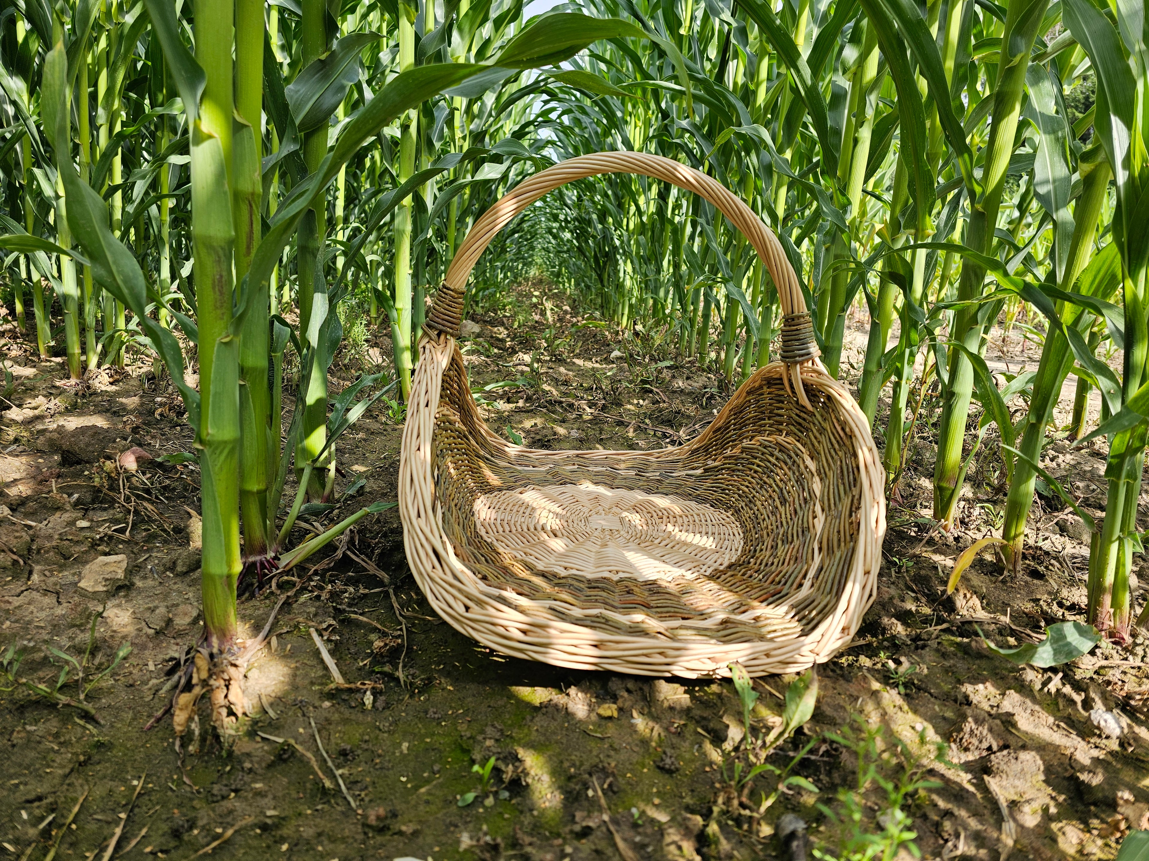 Willow Flower Girl Basket 031b-3
