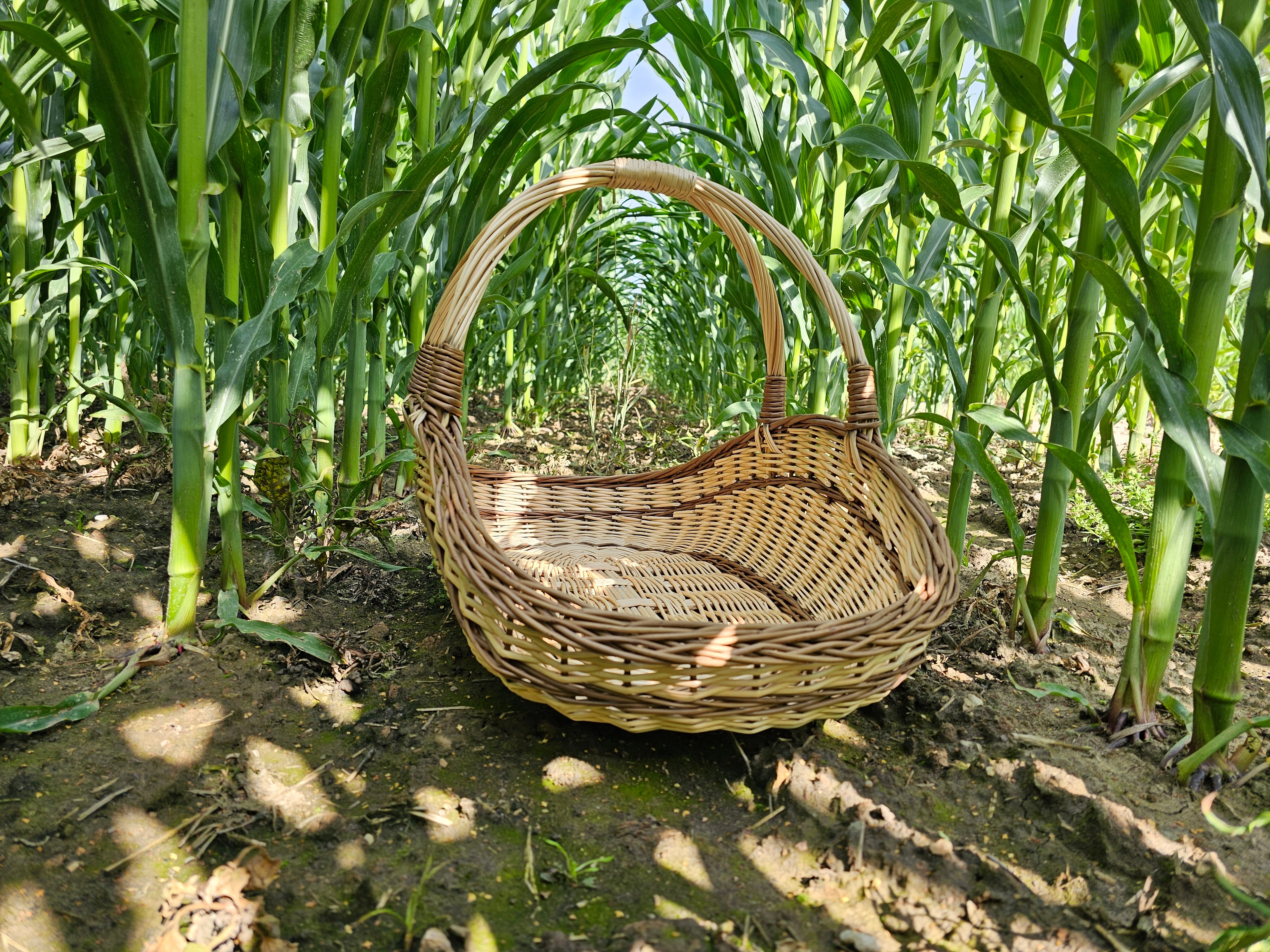 Large Wicker Basket 027b-4