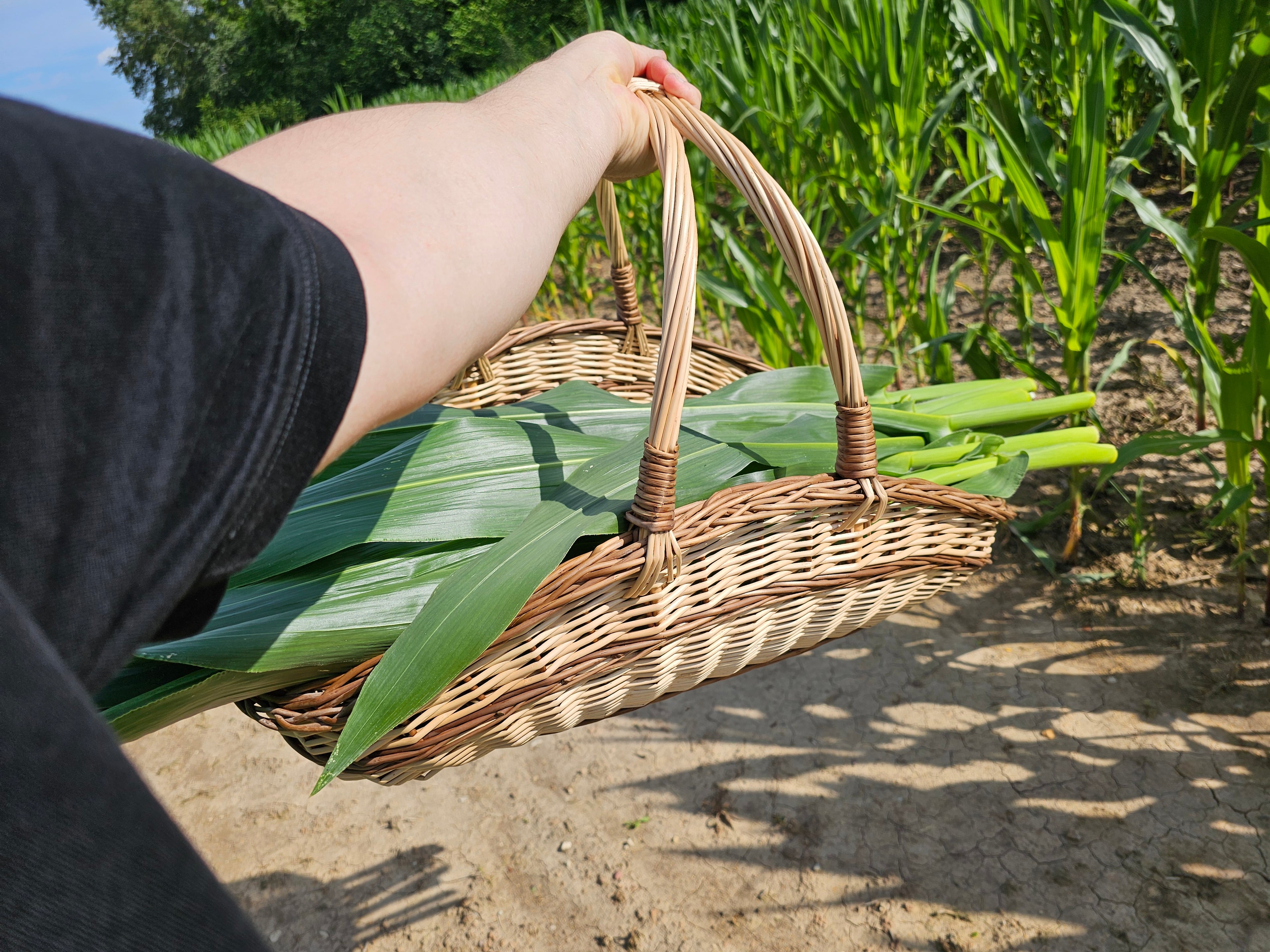Large Wicker Basket 027b-4